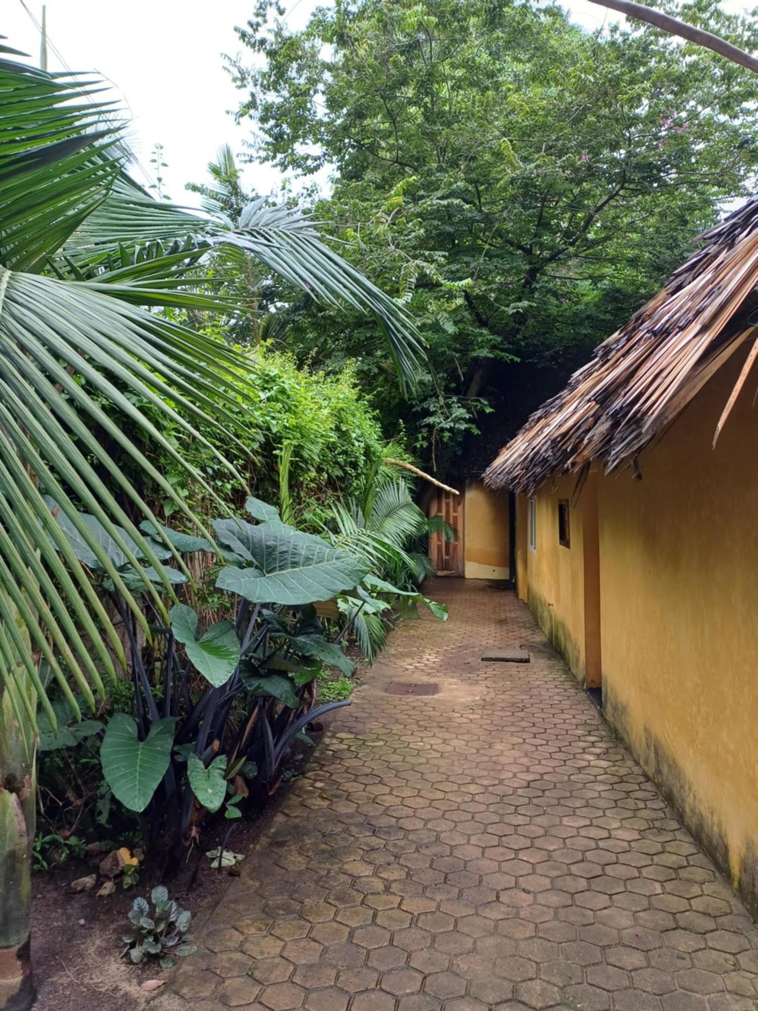 Green Garden Guest House أروشا المظهر الخارجي الصورة